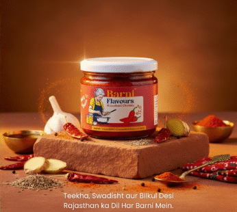 Rajasthani chutney 300g